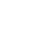 Curso de técnicas de fixação subliminar na coluna vertebral  Data:  11/12 de março de 2022 Local: Goiânia-GO